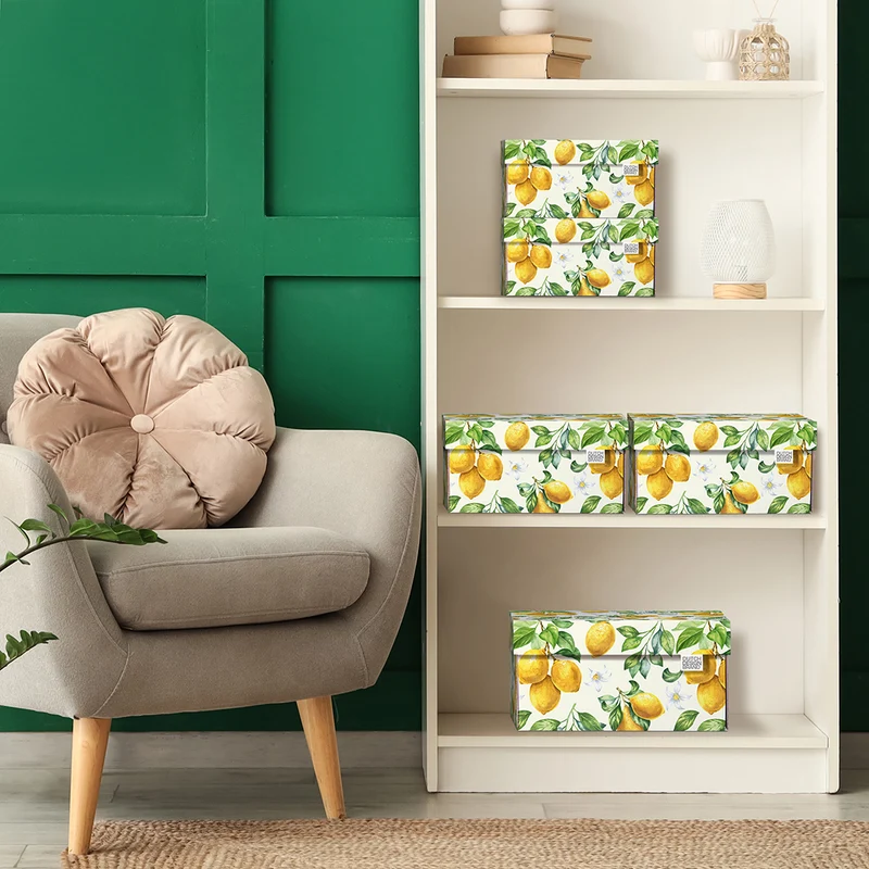 Lemons Storage Box B2B