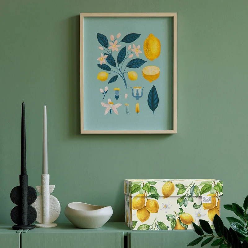 Lemons Storage Box