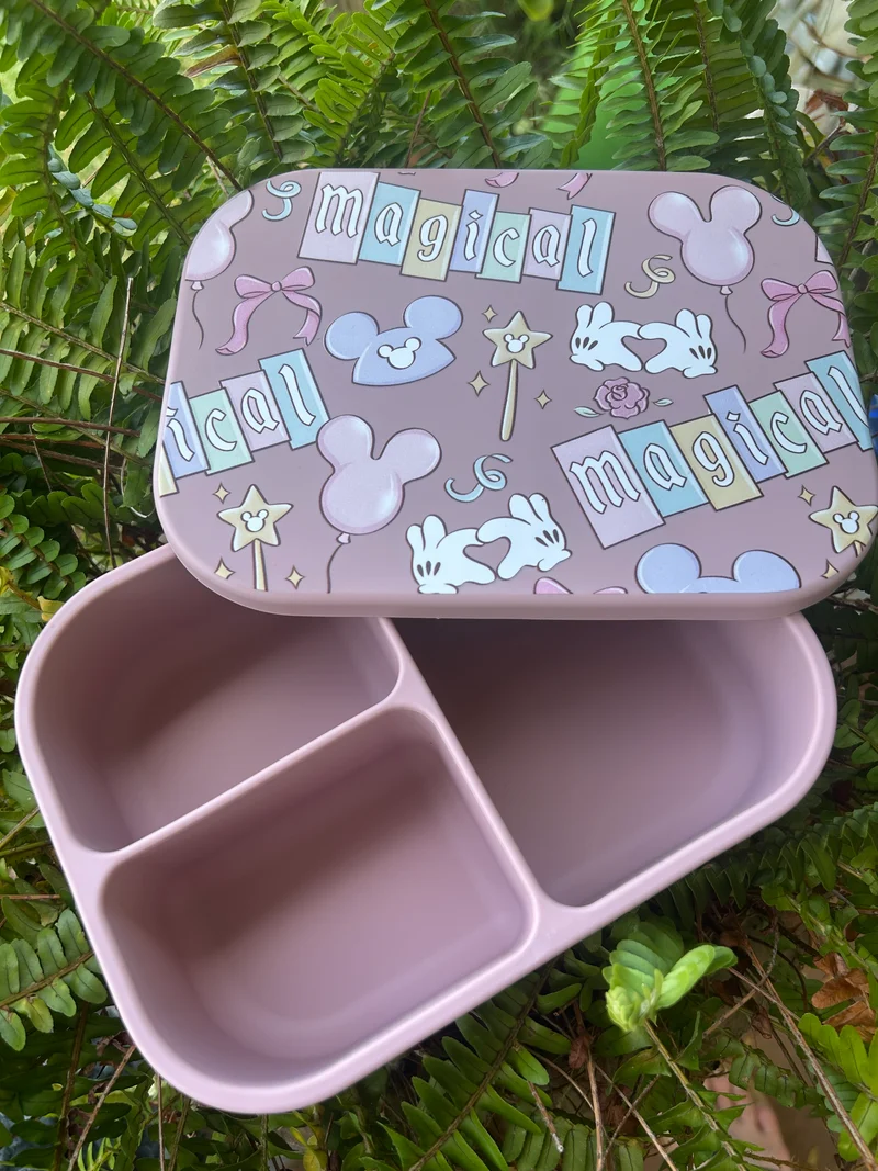 Bento Boxes...SALE