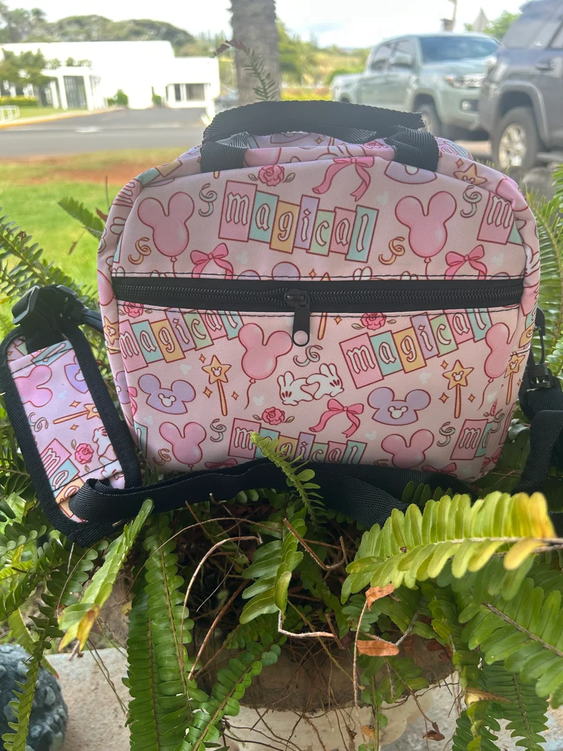 Lunch Bags....SALE