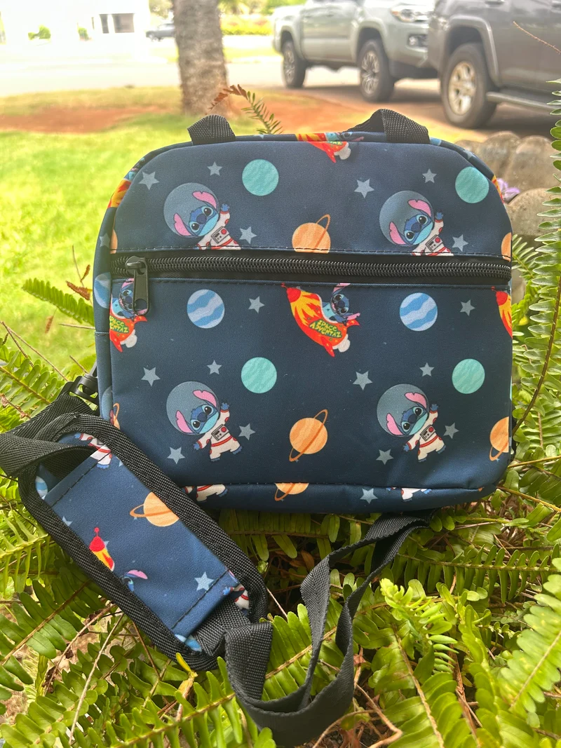 Lunch Bags....SALE