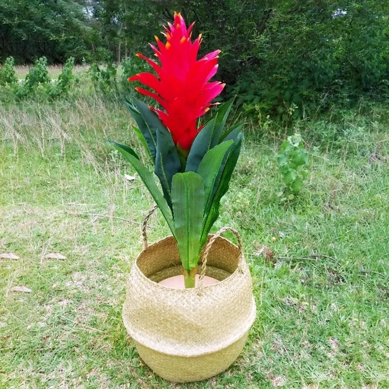 Panier cache pot en fibre végétale