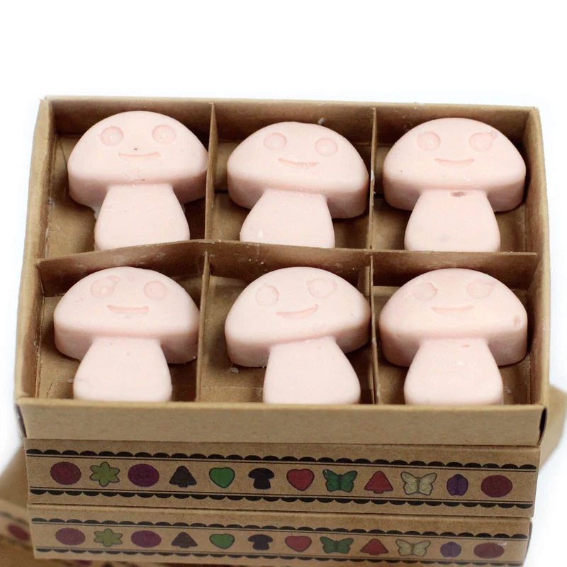 Boîte de 6 Fondants en Cire Soja - Bois de Santal - bougie diffuseur de parfum
