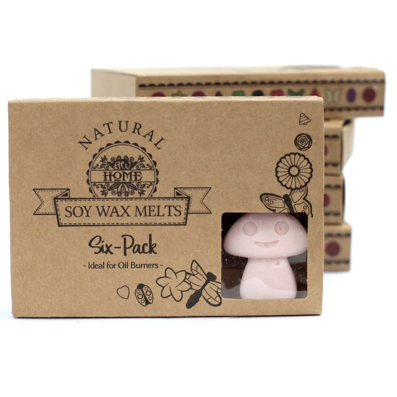 Boîte de 6 Fondants en Cire Soja - Bois de Santal - bougie diffuseur de parfum