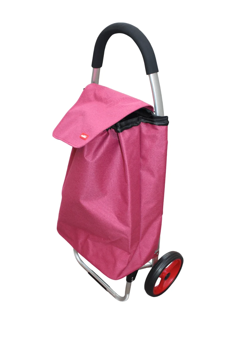 GRAND Chariot de courses CADDIE en ALUMINIUM - Grandes roues - Maniable & Pliable - TOUT TERRAIN SOLIDE