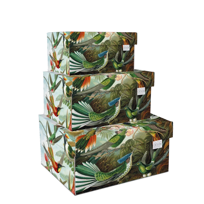 Art of Nature Storage Box B2B