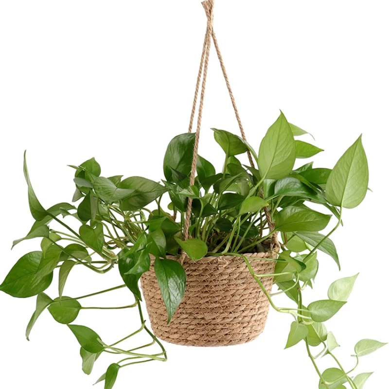 Jardinière suspendue avec corde de jute tissée en macramé
