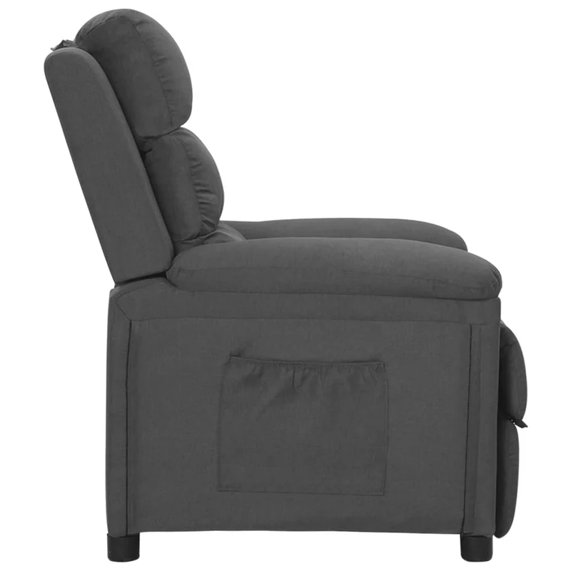 Fauteuil relax TV rembourrage confortable fonction d'inclinaison manuelle en tissu gris foncé DEC027950