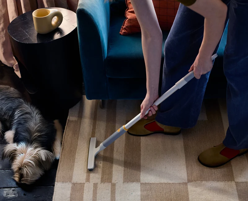 Kit d'Outils pour Enlever les Poils d'Animaux CleanTech™