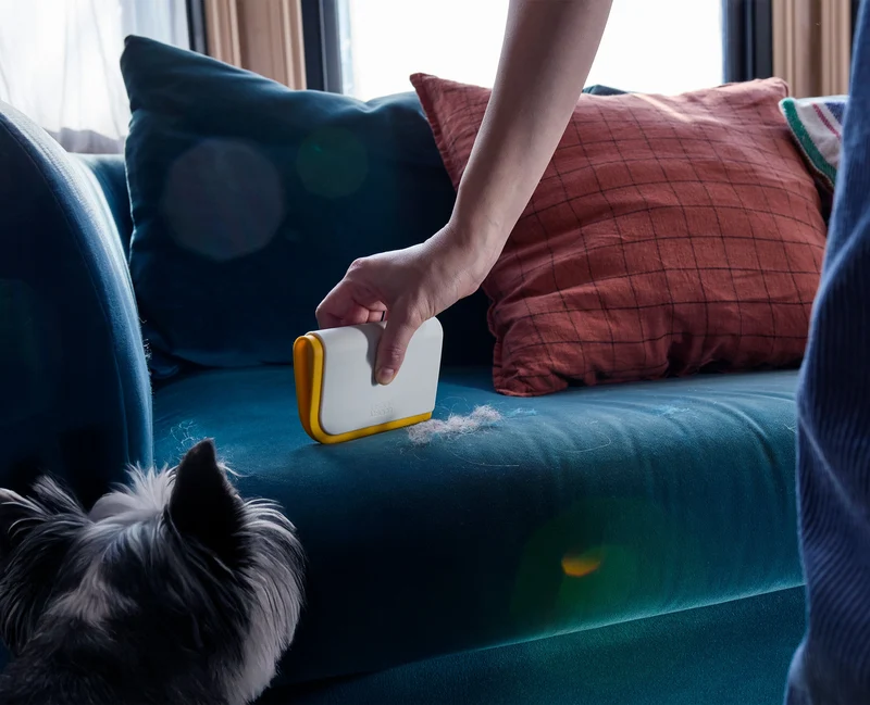 Kit d'Outils pour Enlever les Poils d'Animaux CleanTech™