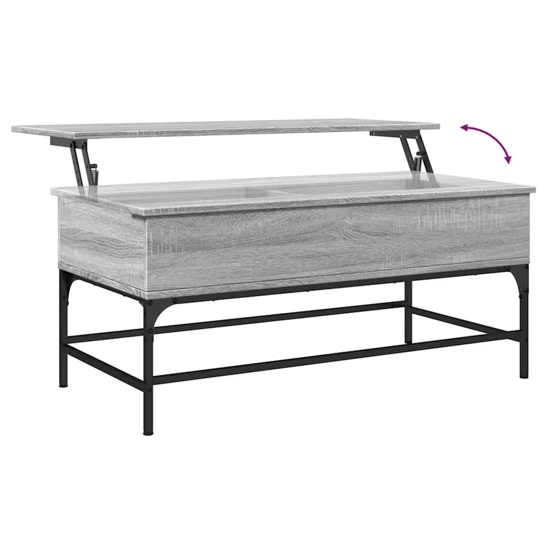 Table basse avec compartiment de rangement 100 x 50 x 45 cm bois d'ingénierie gris et métal DEC039954