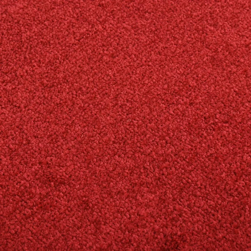 Paillasson de porte d'entrée 60 x 80 cm PP rouge et vinyle antidérapant DEC040659