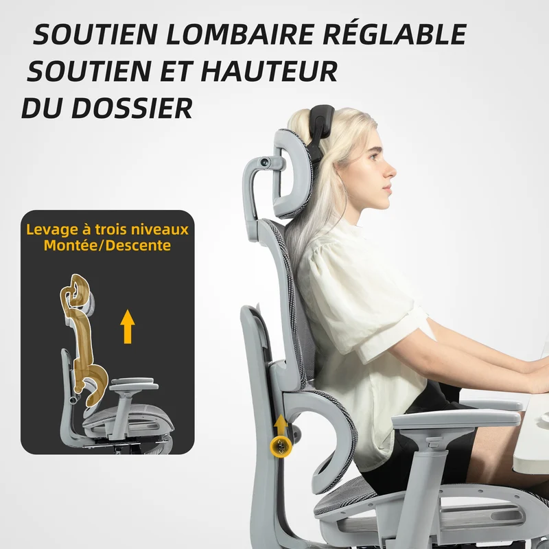 Chaise de bureau ergonomique 66 x 64 x 122 cm soutien lombaire appui-tête réglable moderne design stable en maille gris 21_0006293