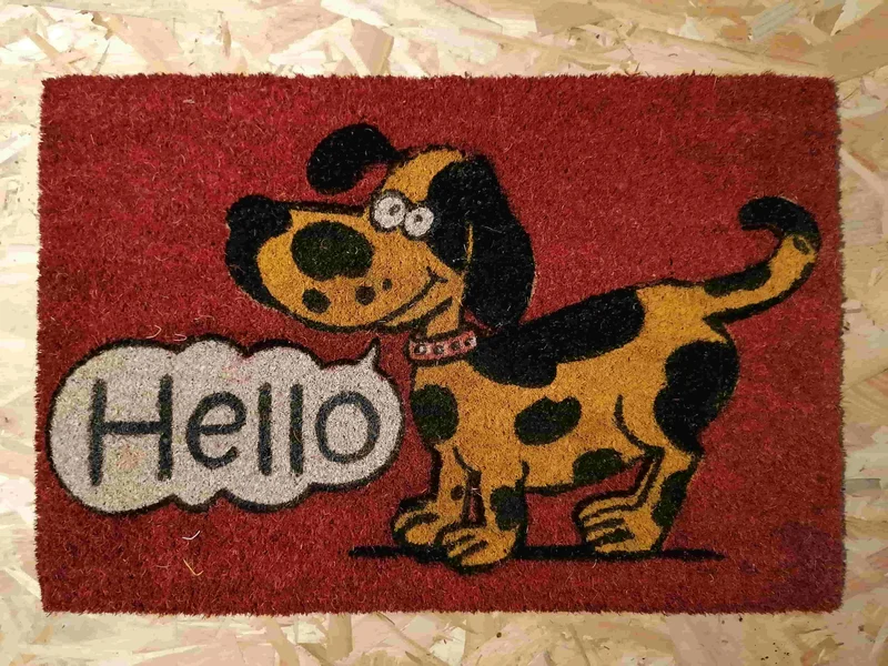 Tapis entrée 40x60cm - Paillasson Fibre de Coco - Caoutchouc Anti Glisse - PLUSIEURS MODELES