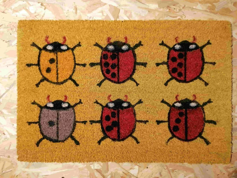 Tapis entrée 40x60cm - Paillasson Fibre de Coco - Caoutchouc Anti Glisse - PLUSIEURS MODELES