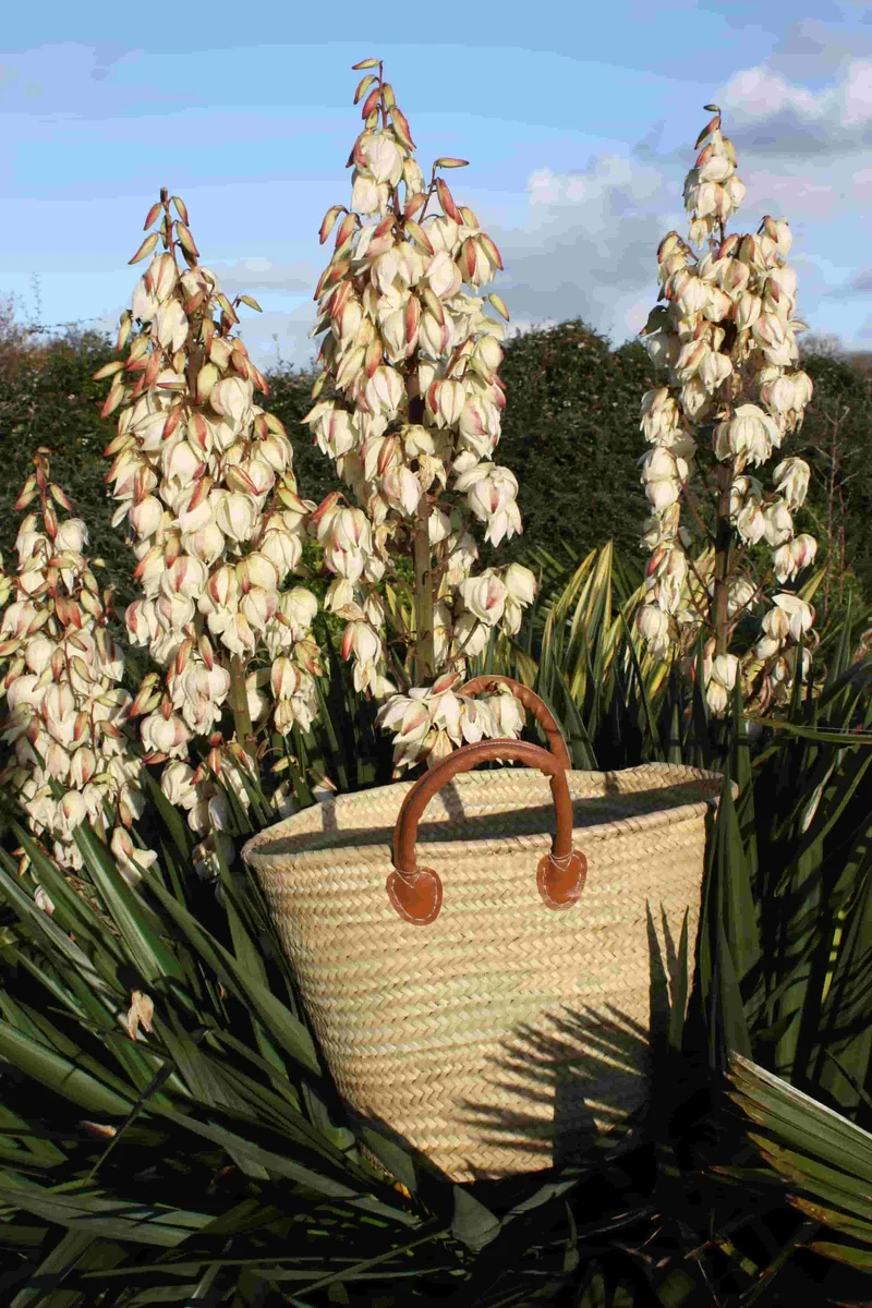 GRAND Panier Sac Cabas en palmier naturel - IDEAL marchés courses plages - paille osier rotin