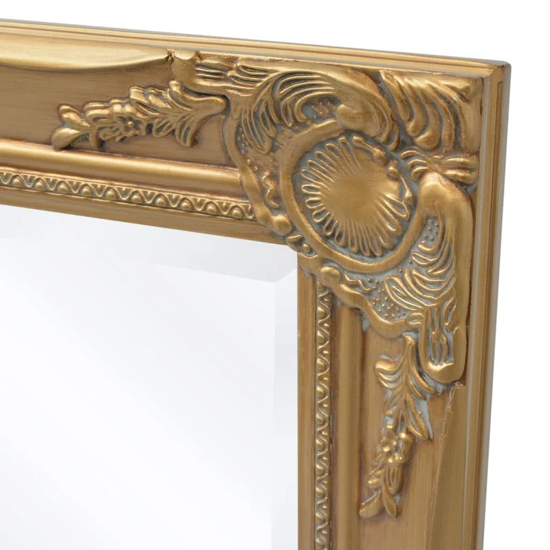 Miroir mural Style baroque 100 x 50 cm Doré DEC022651