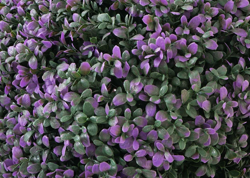 Boule de buis artificiel en topiaire plante décorative pour extérieur diamètre 55 cm violet 04_0006010