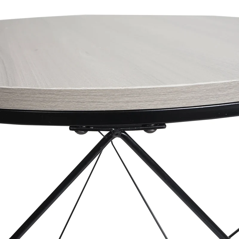 Ensemble de deux tables basses tables d'appoint en métal et MDF aspect chêne gris 04_0006763