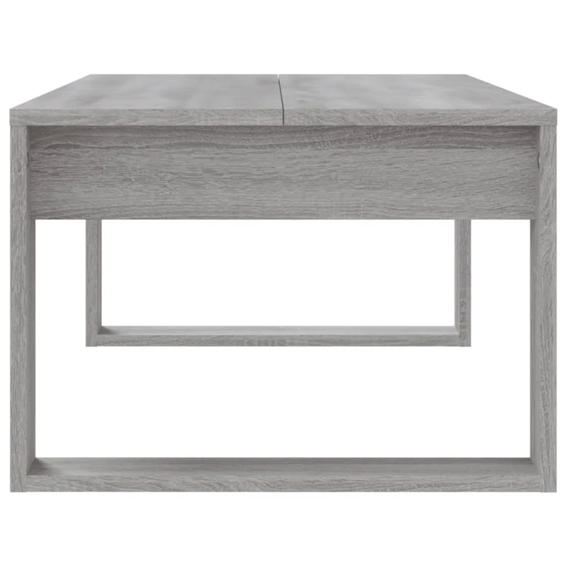 Table basse moderne minimaliste 102 x 50 x 35 cm bois d'ingénierie gris DEC039975