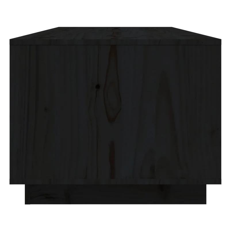 Table basse avec 3 compartiments et 2 portes design moderne 110 x 50 x 40 cm bois massif de pin noir DEC039627