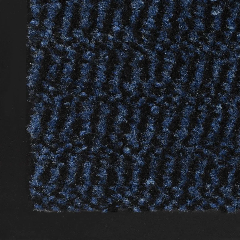 Paillasson rectangulaire 40 x 60 cm Bleu DEC023092