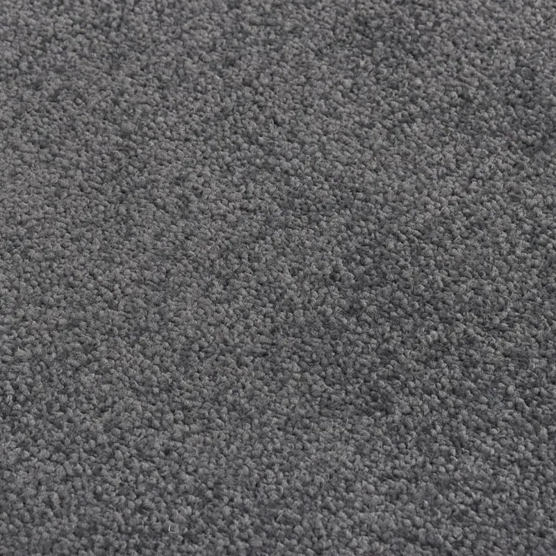 Paillasson de porte d'entrée bordure noire support en vinyle antidérapant 40 x 60 cm PP torsadé anthracite DEC040582