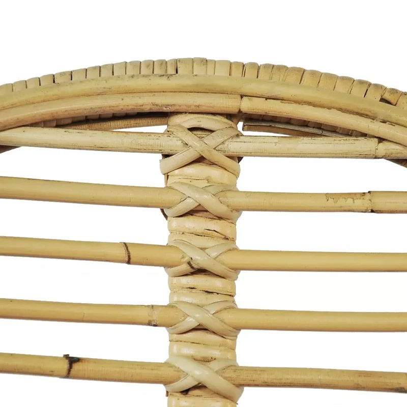 Lot de 2 chaises de salle à manger cuisine Rotin naturel CDS020122