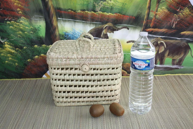 Coffre de rangement - 5 Tailles - Malle tressé en Palmier Doum - Bac Corbeille avec couvercle - Paille Rotin Osier