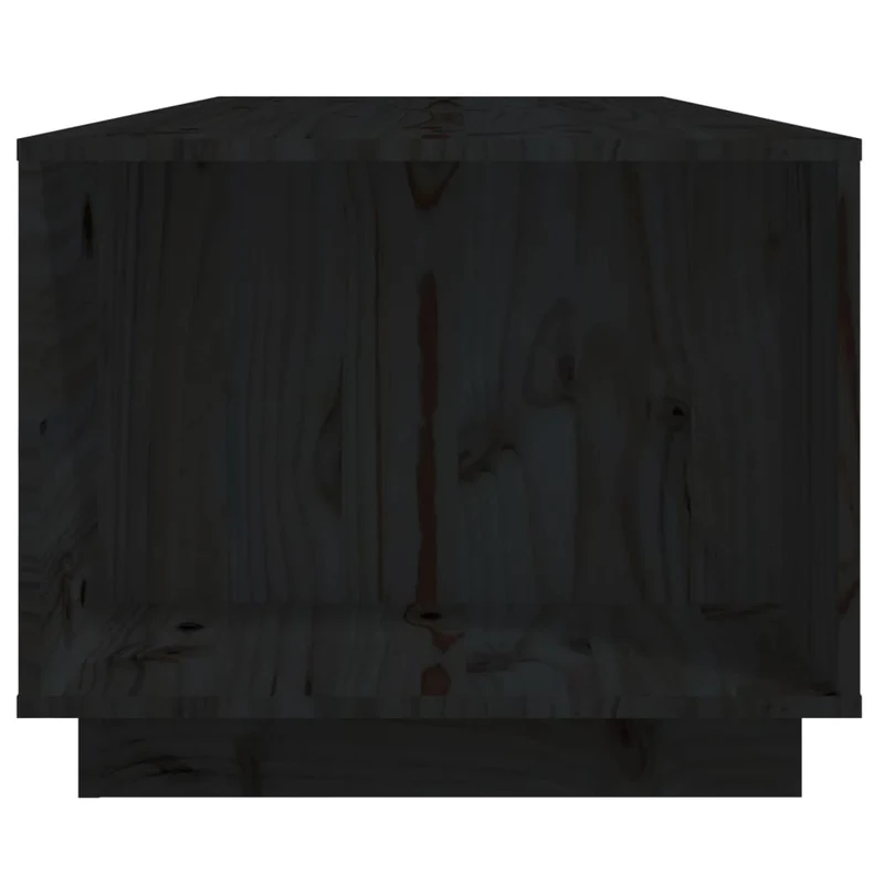 Table basse avec 4 compartiments et 2 portes design rustique moderne 110 x 50 x 40 cm bois massif de pin noir DEC039625