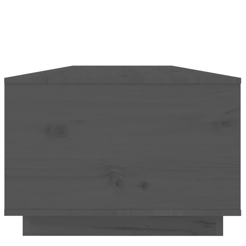 Table basse avec espace de rangement design rustique moderne 100 x 50 x 35 cm bois massif de pin gris DEC039150