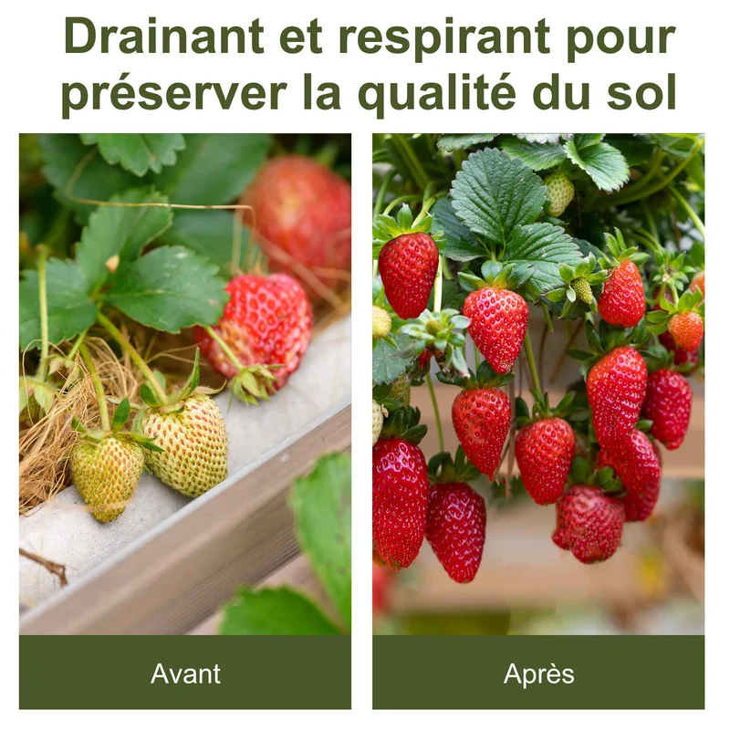 Lot de 2 toiles de paillage anti mauvaises herbes 50 x 100 cm perméables indéchirables polyvalentes jardin en PP noir 21_0004385