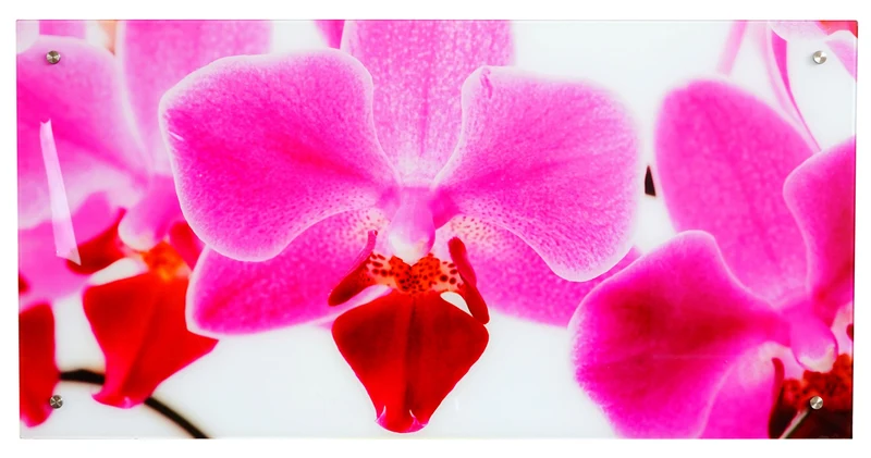 Tableau sur verre motif orchidée décoration à suspendre DEC04021