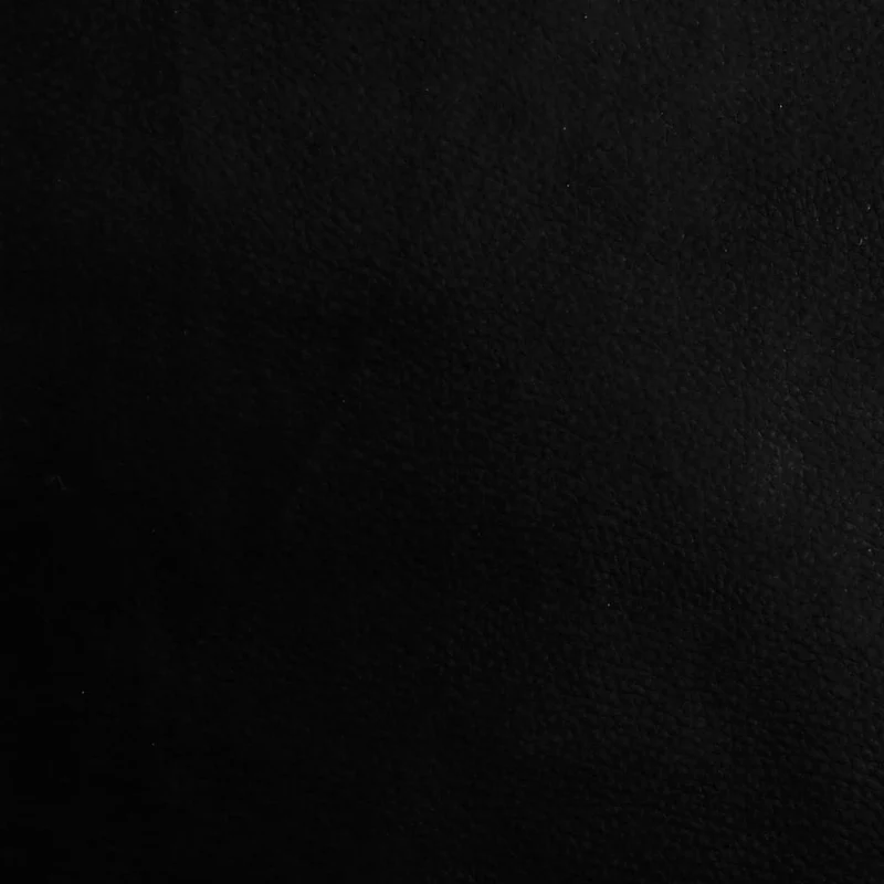 Banc de rangement à chaussures avec coussin d'assise noir 62 x 42 x 45 cm en bois d'ingénierie noir et métal DEC024919