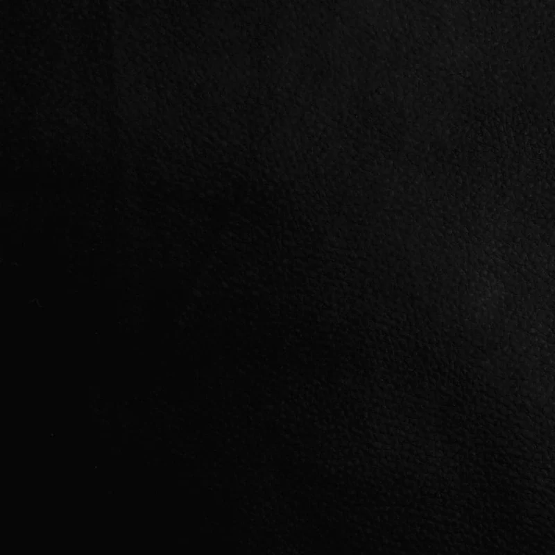 Banc de rangement à chaussures 62 x 32 x 50 cm bois d'ingénierie noir DEC024918